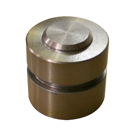 A & I Products Piston, Hydraulic Lift 6.2" x2.5" x2.5" A-NAA530B